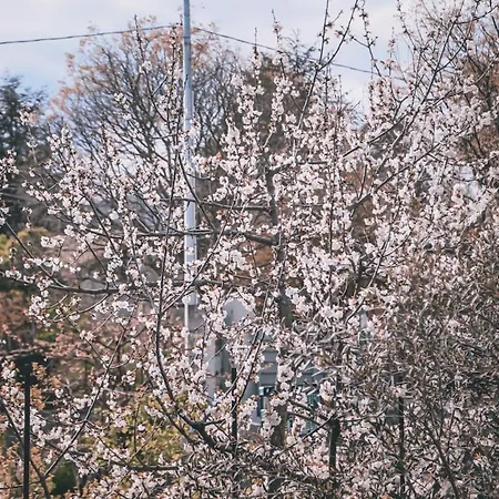 Sara On Etna Villa *