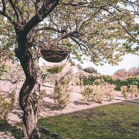 Sara On Etna * Pedara